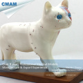 Modelo médico 12004 da acupunctura do gato da anatomia plástica da educação médica de A04 (12004)